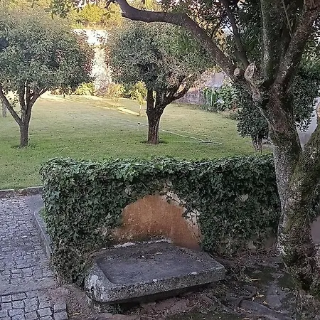 بيت للعطل Casa D'afife *